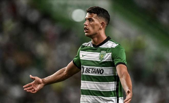 势的状态不 势的状态不